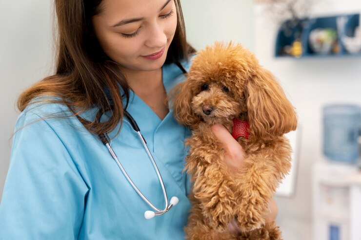 What's the risk of owning pet insurance